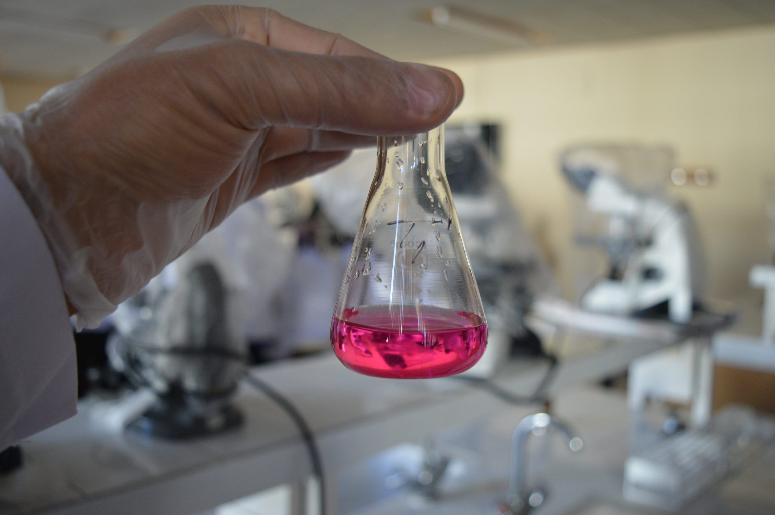 Bioquima BIOQUÍMICO CREA BIOPLÁSTICO NACIONAL