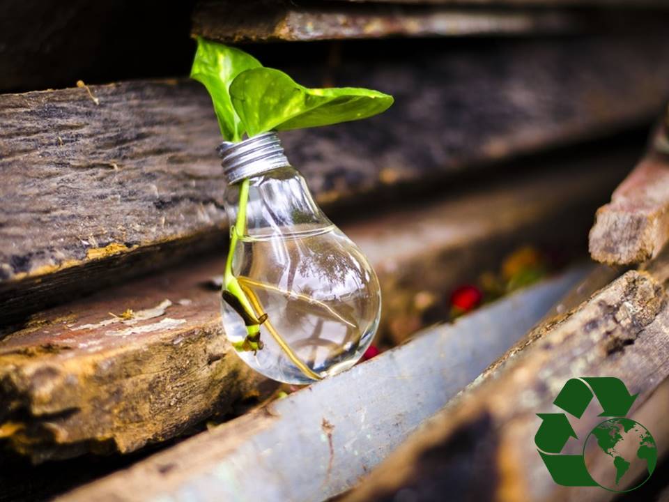 EL POTENCIAL DE LA INNOVACIÓN EN LA INDUSTRIA DEL ENVASE Y EL EMBALAJE