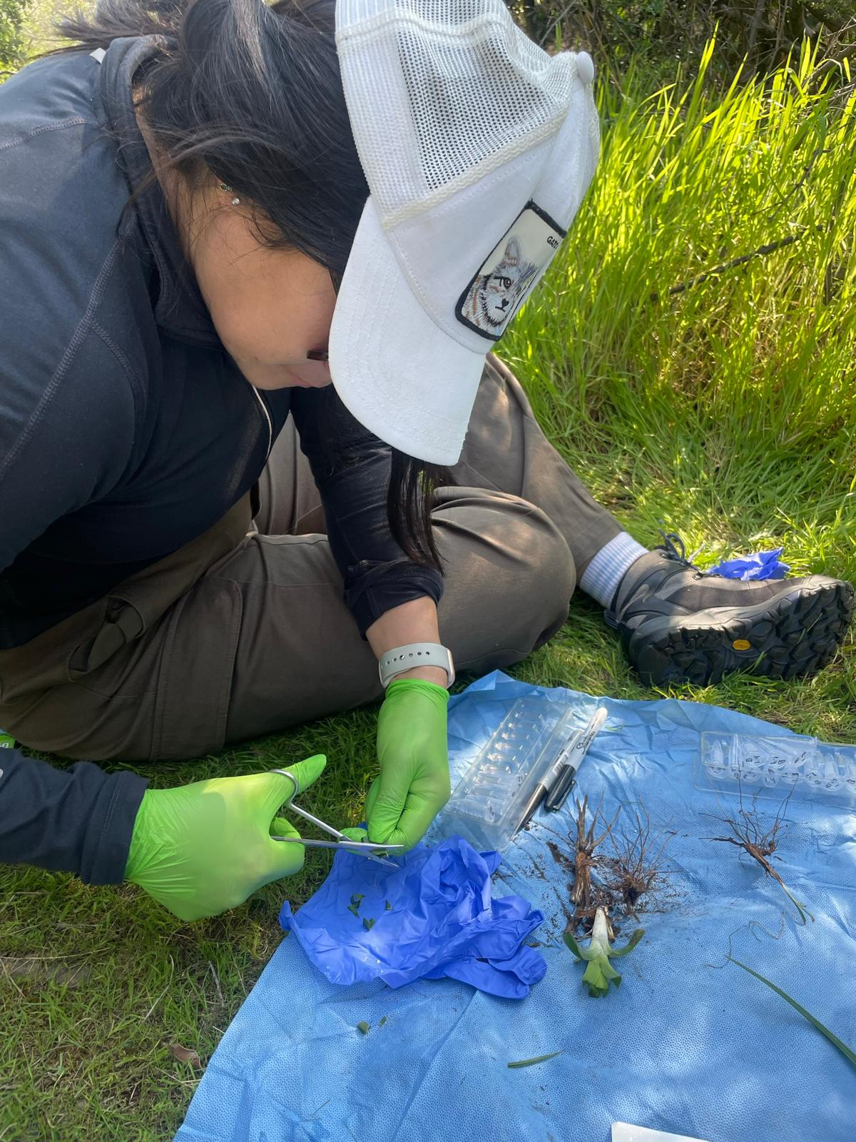 UOH AVANZA EN INVESTIGACIÓN CON MICROARNS PARA APLICACIONES EN SALUD Y ...