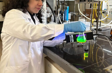 TERAPIAS FOTODINÁMICAS CONTRA EL CÁNCER