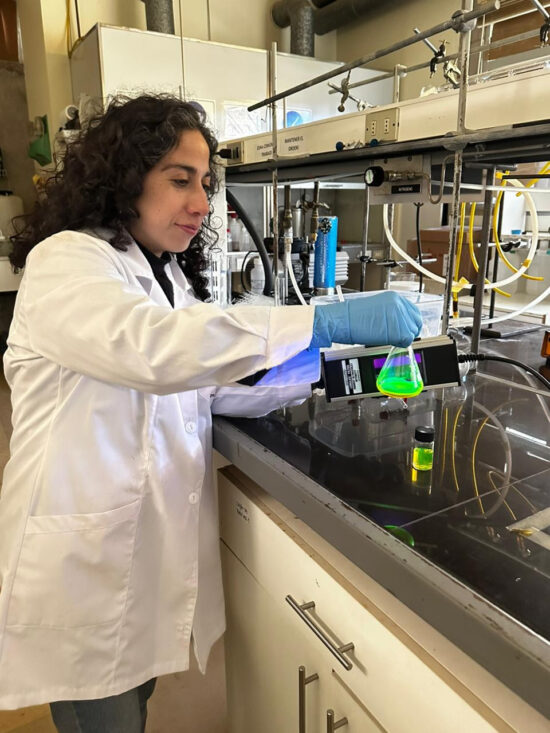 TERAPIAS FOTODINÁMICAS CONTRA EL CÁNCER