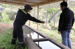 Programa de Emergencia de Empleo de CONAF