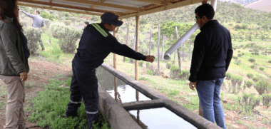 Programa de Emergencia de Empleo de CONAF