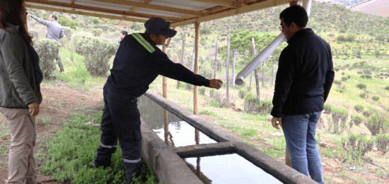 Programa de Emergencia de Empleo de CONAF