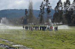 diplomado en Gestión Hídrica