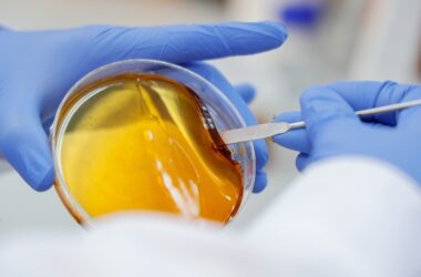 primer laboratorio apícola en Región de O´Higgins