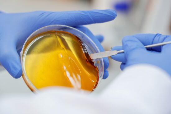 primer laboratorio apícola en Región de O´Higgins