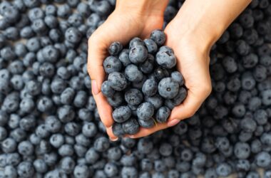 arándanos frescos