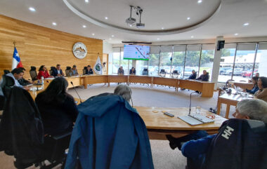 Comité de Desarrollo Productivo Regional Aysén