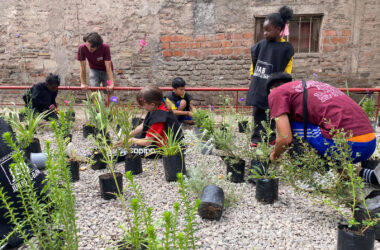 Escuela de Verano Vientos de Chuchunko