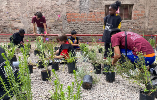Escuela de Verano Vientos de Chuchunko