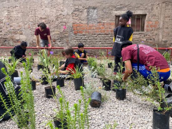 Escuela de Verano Vientos de Chuchunko