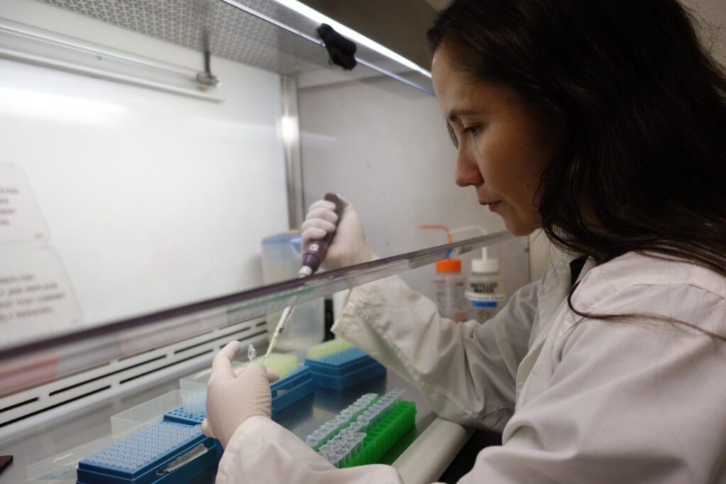 PROYECTO STEM GÉNERO