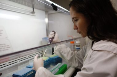 PROYECTO STEM GÉNERO