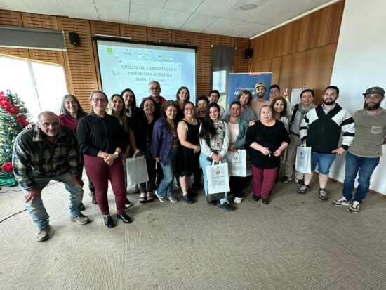 Programa Acelera Mapu Lahual