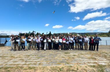 Programa de Formación en Gestión Energética