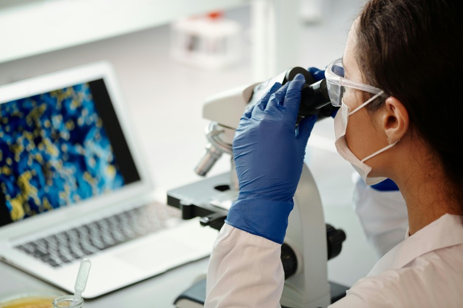 programa Líneas de Apoyo 2025