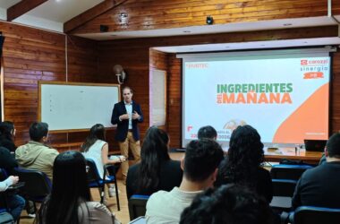 programa Sinergia I+D