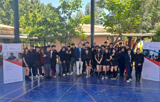 proyecto Liderazgo Logístico Virtual