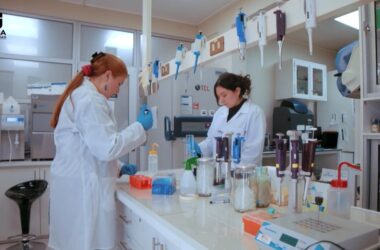 Universidad de Talca