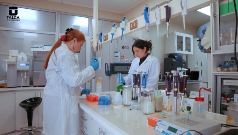 Universidad de Talca