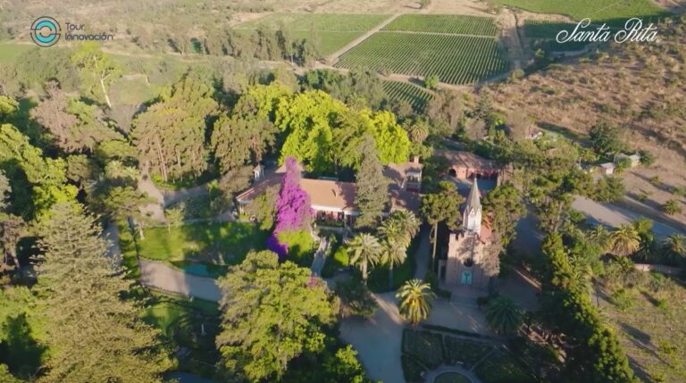 VIÑA SANTA RITA