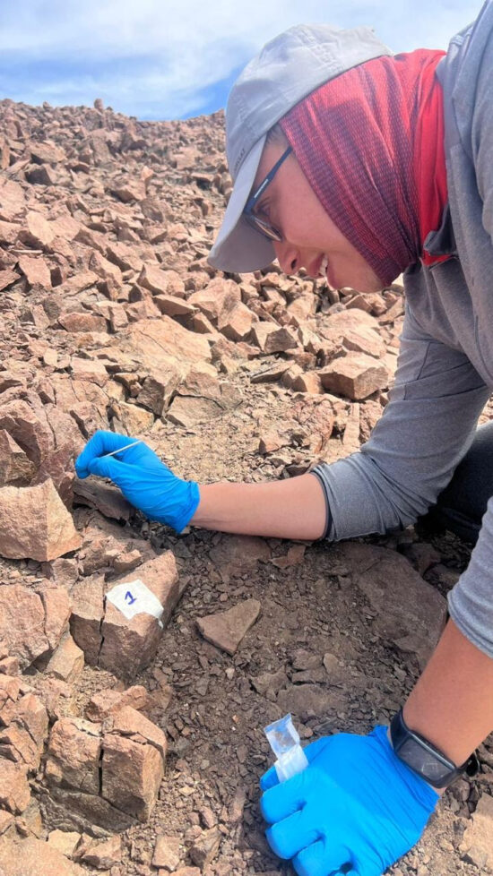 CACTUS ENDÉMICO DE CHILE