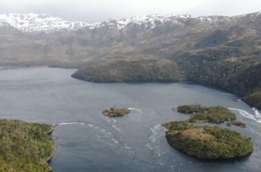 Compra Pública de Innovación