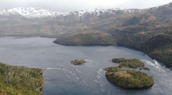 Compra Pública de Innovación