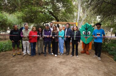 Iniciativa Vivamos Circular