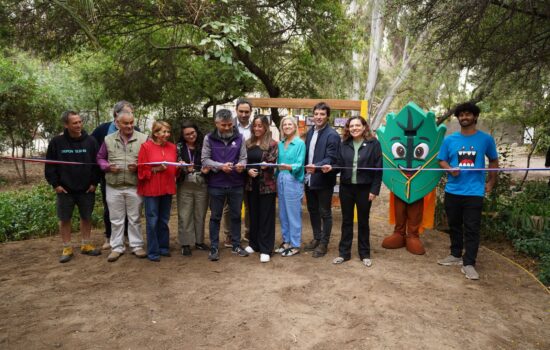 Iniciativa Vivamos Circular