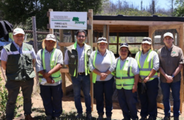 Programa de Emergencia de Empleo de CONAF