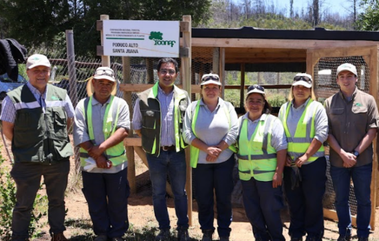 Programa de Emergencia de Empleo de CONAF