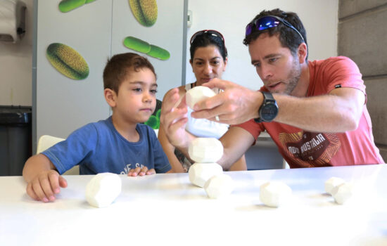 TALLERES DE VERANO DEL MIM