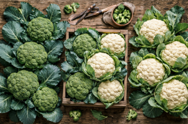 bioinsumos para agricultura