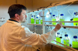 BIOPROCESOS DE MICROALGAS