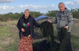 Cultivo Sostenible del Alga