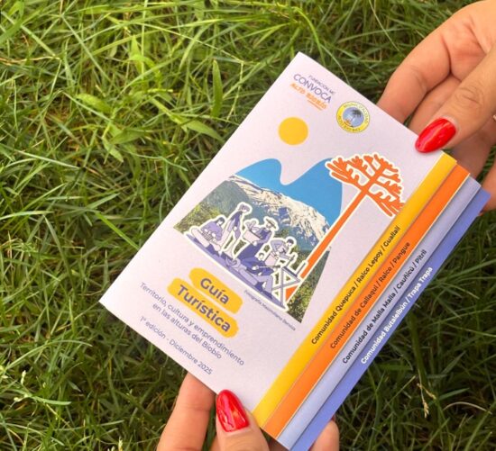 Guía Turística Convoca Alto Biobío