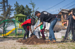 Fundación reforestemos
