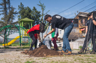 Fundación reforestemos