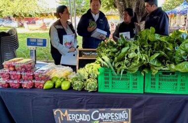 MERCADO CAMPESINO SANTA BÁRBARA