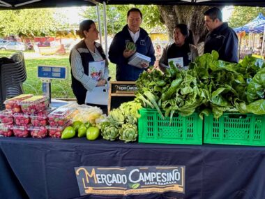 MERCADO CAMPESINO SANTA BÁRBARA
