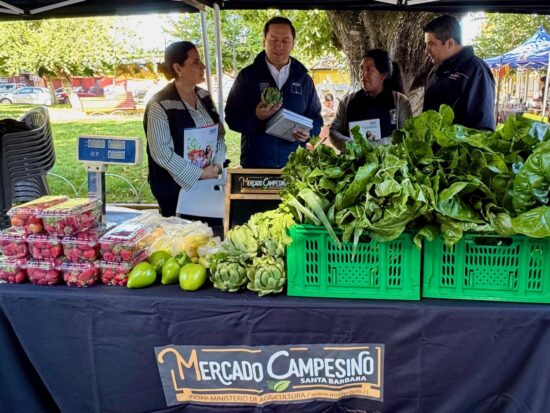 MERCADO CAMPESINO SANTA BÁRBARA