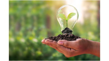 SOSTENIBILIDAD EMPRESARIAL