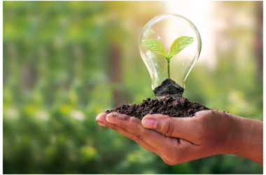 SOSTENIBILIDAD EMPRESARIAL