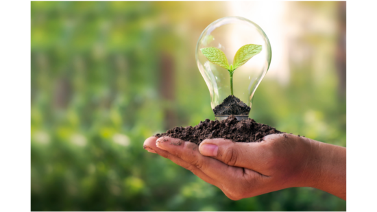 SOSTENIBILIDAD EMPRESARIAL