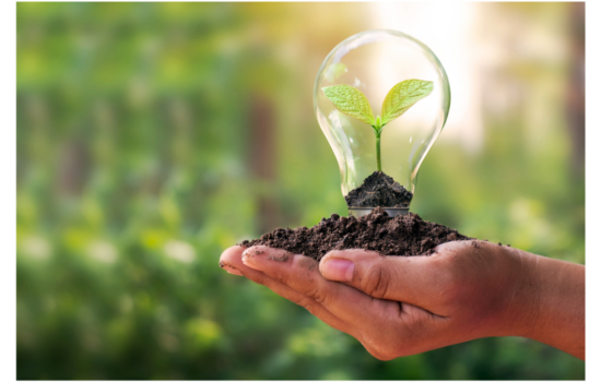 SOSTENIBILIDAD EMPRESARIAL