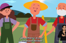 cápsulas educativas audiovisuales