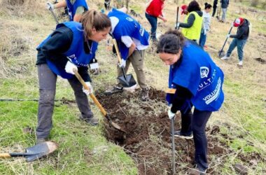 CAMPAÑA “DE LAS CENIZAS AL BOSQUE”