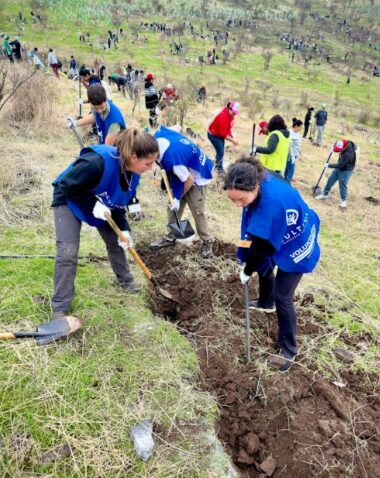 CAMPAÑA “DE LAS CENIZAS AL BOSQUE”